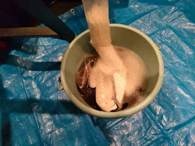 お支払いは現金・paypayで！プロの技術でご満足いただけるように心を込めて作業サービスの画像