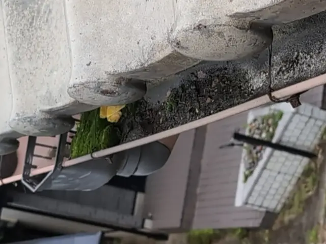 ◆福岡市発◆損害保険加入済み！対応地域外のご予約も相談可能です！サービスの画像