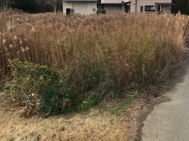 《三重県・地域密着》空き地・お庭などの草刈り！僕達にお任せ下さい！サービスの画像