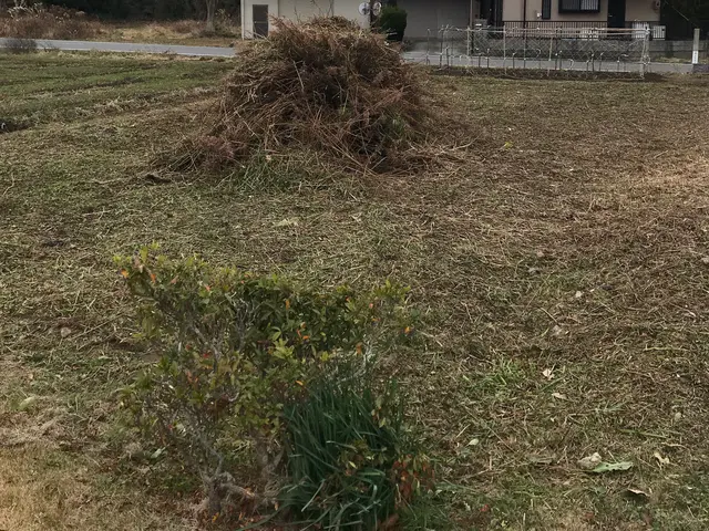 《三重県・地域密着》空き地・お庭などの草刈り！僕達にお任せ下さい！サービスの画像