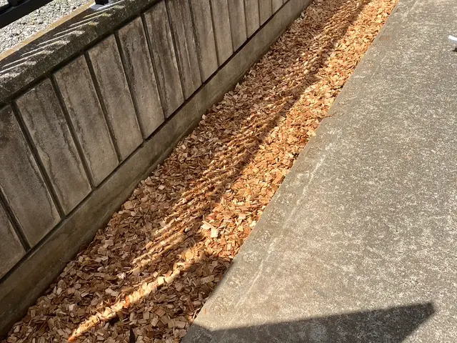 豊富な経験で安心！女性スタッフ同行可能♪アフターケアも力入れています！サービスの画像