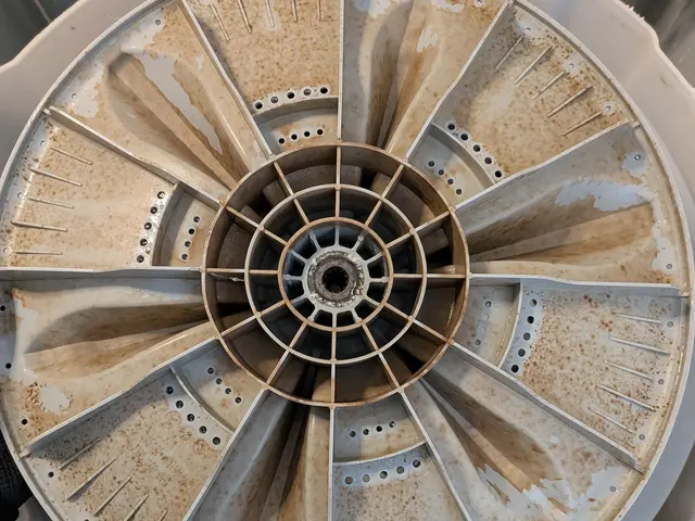 【庄内地方初掲載‼】カビ菌、臭い徹底洗浄◎サービスの画像