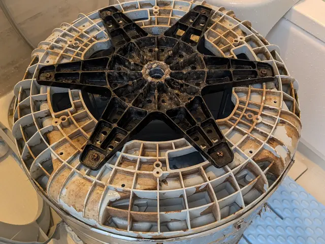 【庄内地方初掲載‼】カビ菌、臭い徹底洗浄◎サービスの画像