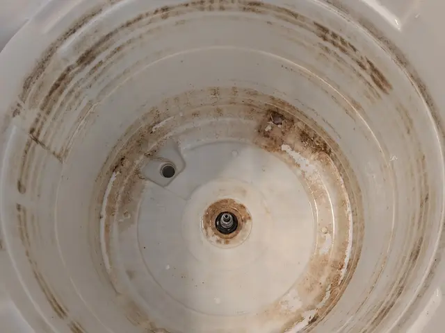 【庄内地方初掲載‼】カビ菌、臭い徹底洗浄◎サービスの画像