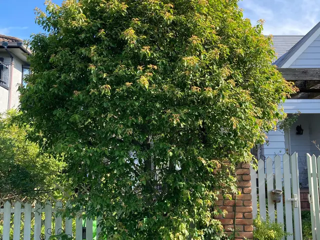 【損害保険加入済み◎】プロのサービスでお客様のご要望にお応えします！サービスの画像