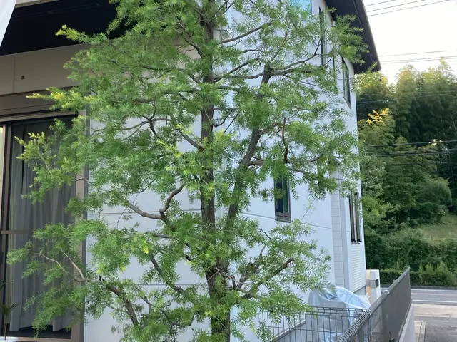 【損害保険加入済み◎】プロのサービスでお客様のご要望にお応えします！サービスの画像