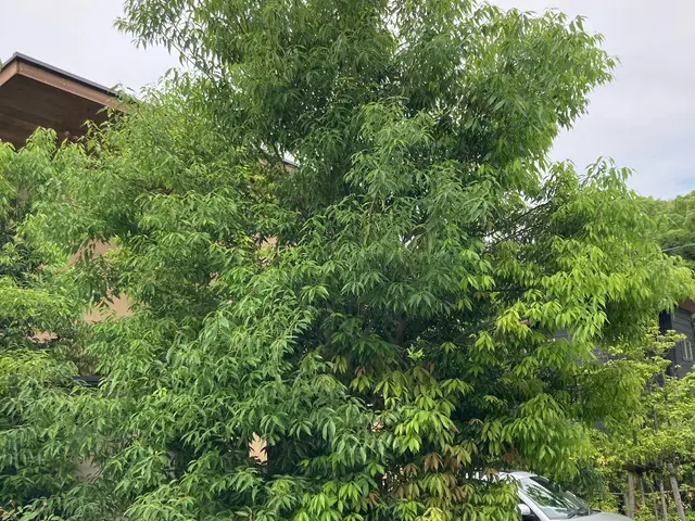 【損害保険加入済み◎】プロのサービスでお客様のご要望にお応えします！サービスの画像