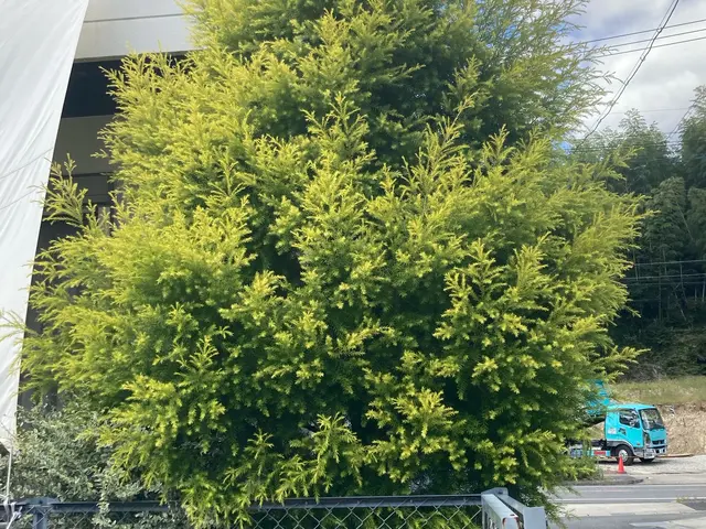 【損害保険加入済み◎】プロのサービスでお客様のご要望にお応えします！サービスの画像