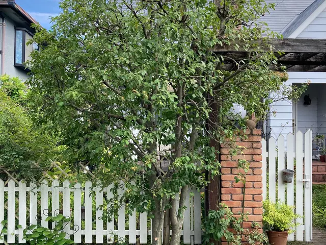 【損害保険加入済み◎】プロのサービスでお客様のご要望にお応えします！サービスの画像