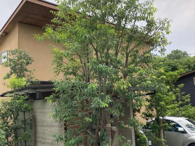 【損害保険加入済み◎】プロのサービスでお客様のご要望にお応えします！サービスの画像