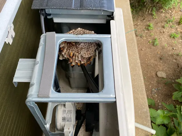 即日対応可能！25件の実績で安心の蜂退治専門店サービスの画像