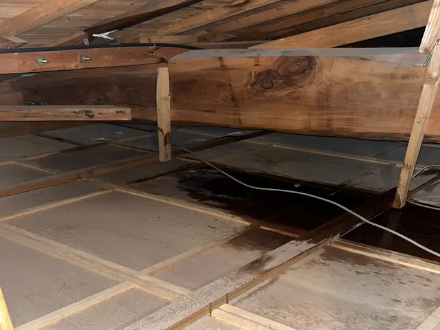 プロの技術でご満足いただけるように心を込めて作業いたしますサービスの画像