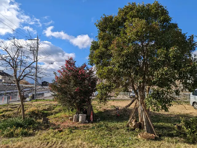 北葛城郡上牧町発【業歴20年の経験と実績！】作業外注なし！駐車代お店負担！サービスの画像
