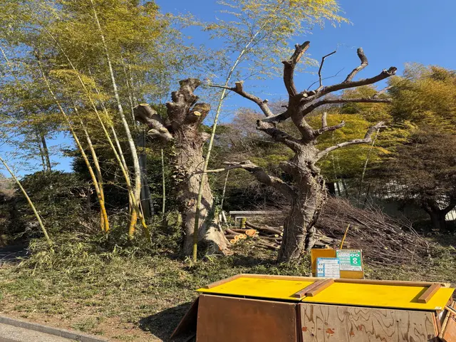 お庭や玄関廻りをスッキリと・強剪定推奨店・外構等も店舗にてご相談頂けますサービスの画像