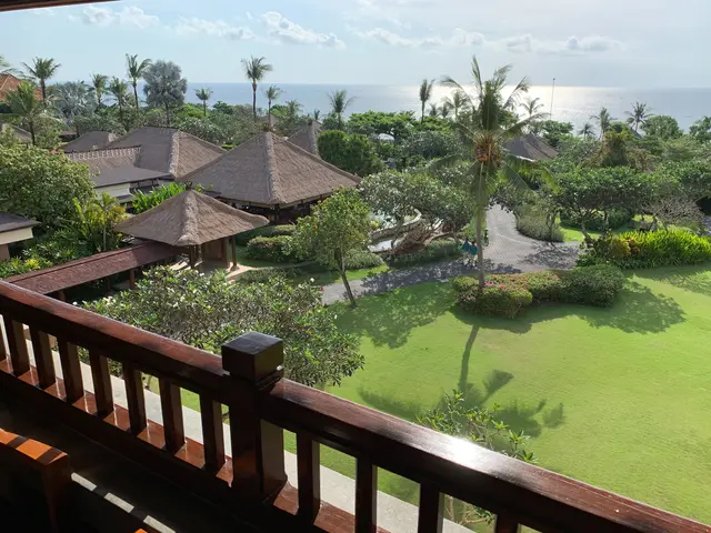 お庭や玄関廻りをスッキリと・強剪定推奨店・外構等も店舗にてご相談頂けますサービスの画像