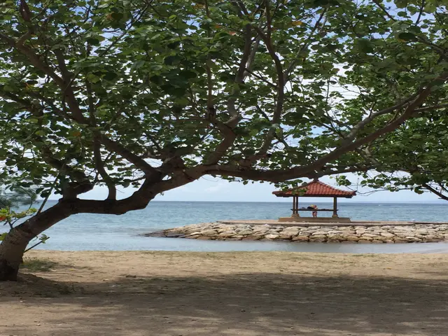 お庭や玄関廻りをスッキリと・強剪定推奨店・外構等も店舗にてご相談頂けますサービスの画像
