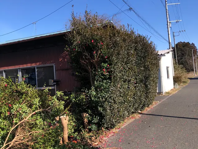 伐採、抜根作業承ります！まずは気軽にお問い合わせください！サービスの画像