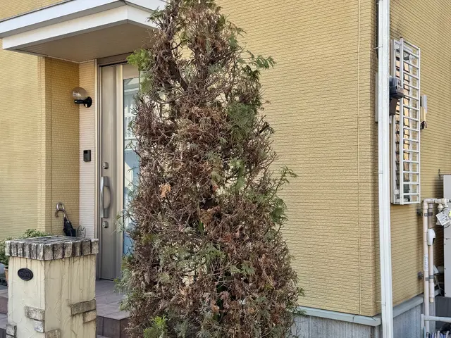 伐採、抜根作業承ります！まずは気軽にお問い合わせください！サービスの画像