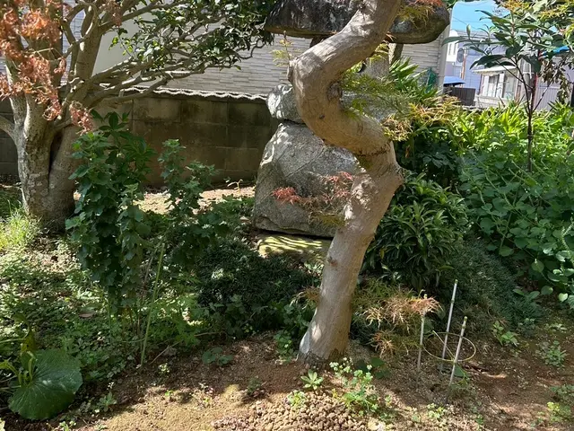 伐採、抜根作業承ります！まずは気軽にお問い合わせください！サービスの画像