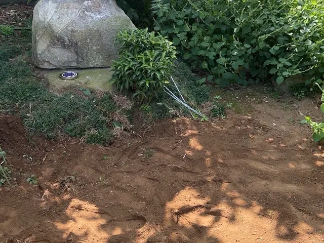 伐採、抜根作業承ります！まずは気軽にお問い合わせください！サービスの画像