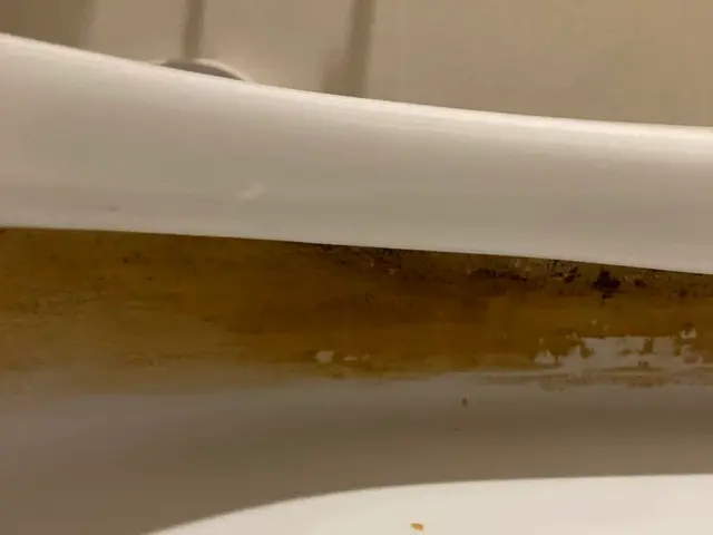 ꕤ︎︎いいアイデアはキレイなトイレからꕤ︎︎【交通費無料】サービスの画像