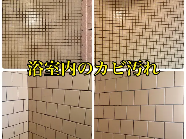 1日１件限定！作業の質を優先します！ぜひお任せください！広島、山口、島根サービスの画像