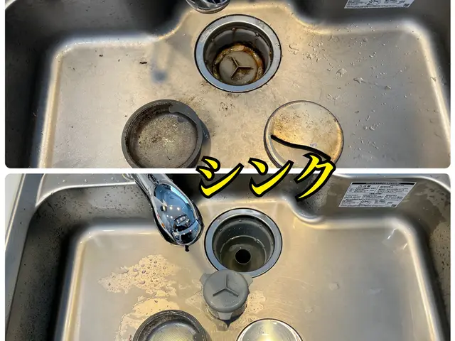 1日１件限定！作業の質を優先します！ぜひお任せください！広島、山口、島根サービスの画像