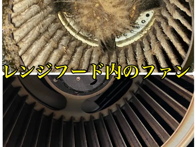 1日１件限定！作業の質を優先します！ぜひお任せください！広島、山口、島根サービスの画像