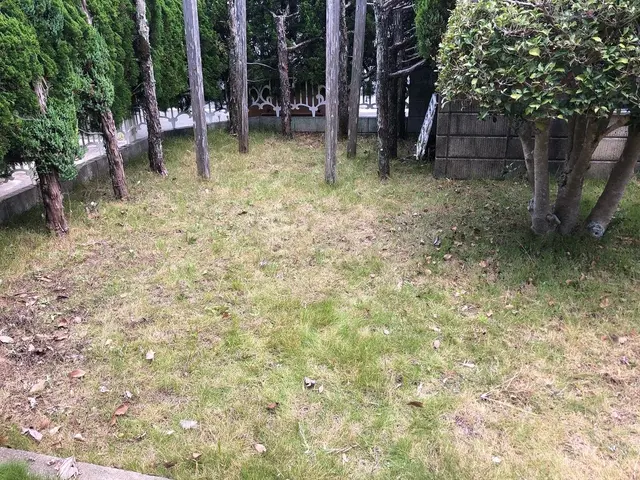 暑い夏を迎える前に一度草刈りをしておきませんか！？サービスの画像