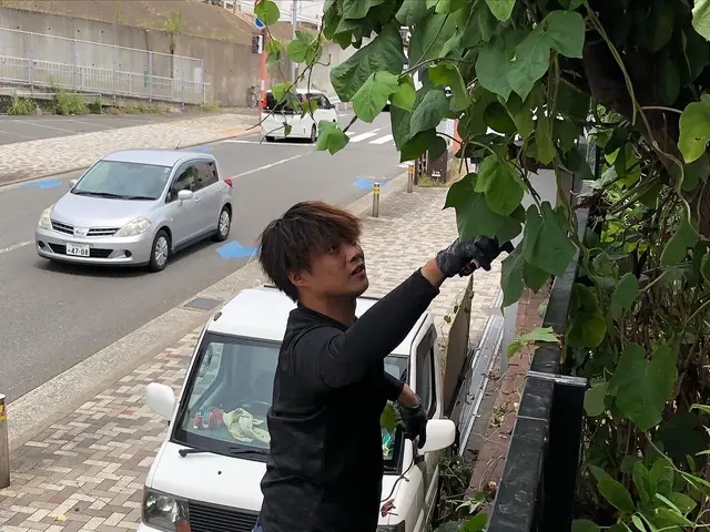 暑い夏を迎える前に一度草刈りをしておきませんか！？サービスの画像