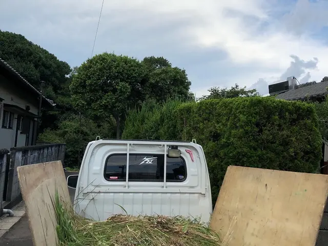 暑い夏を迎える前に一度草刈りをしておきませんか！？サービスの画像