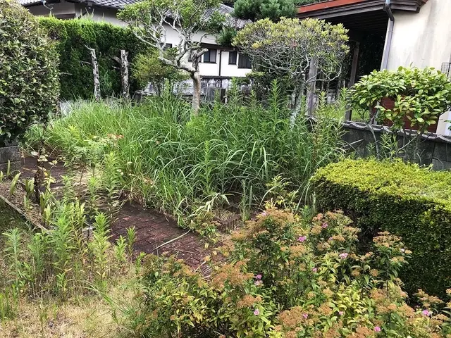 暑い夏を迎える前に一度草刈りをしておきませんか！？サービスの画像