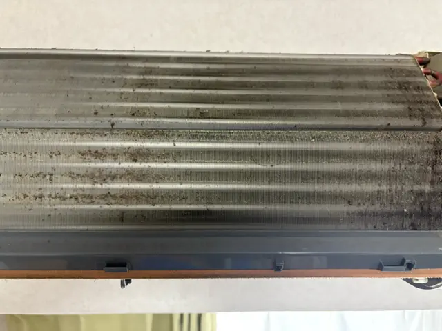 ハウスクリーニング士の店長がスピーディに対応！2名体制で安心快適サービスの画像