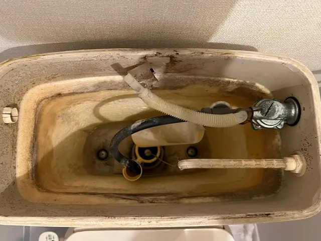 【業歴30年以上の経験と実績】受付･訪問とも同じ者が伺いますサービスの画像