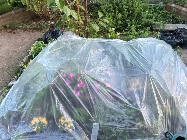 【菜園、樹木、外壁にも対応!!】外からの害虫駆除、予防致します！サービスの画像