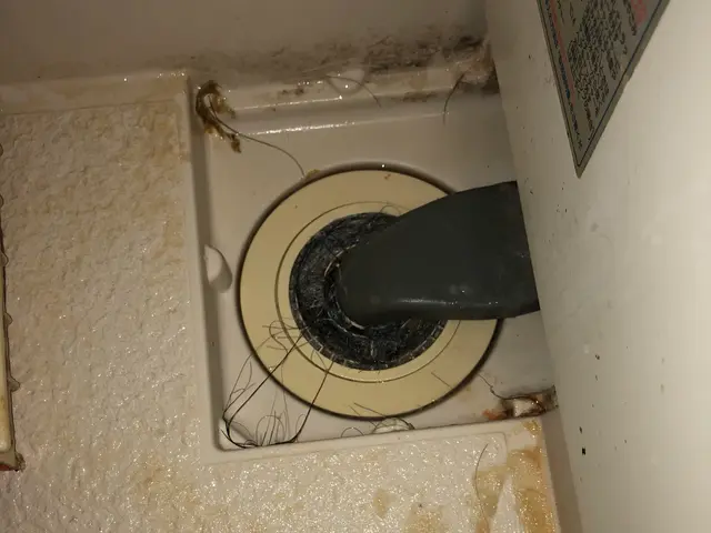 ◎空室クリーニング◎サービスの画像