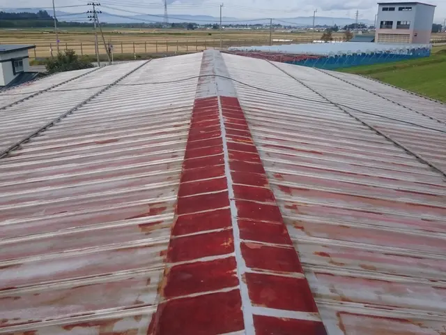 業歴20年以上　国家資格1級塗装技能士　作業外注一切無し　お気軽にご相談下さい！サービスの画像