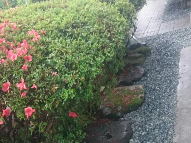 お客様のニーズに合わせて！真心込めて誠心誠意努めてまいります！！！サービスの画像