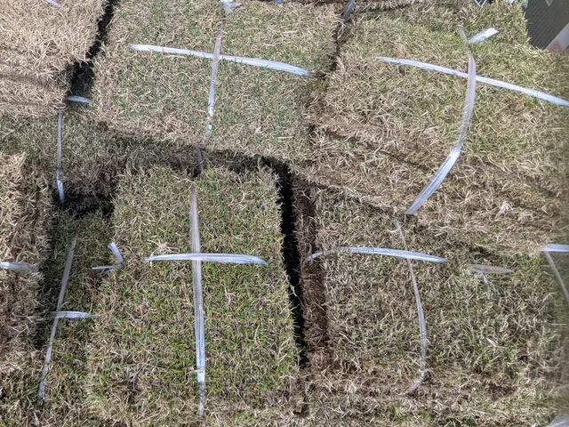 芝張り（芝・目土ご用意、整地・芝張り・散水作業を含みます）サービスの画像