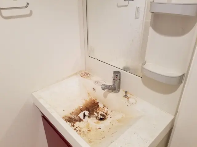 8800円！洗面台2箇所で1箇所7700円に！サービスの画像