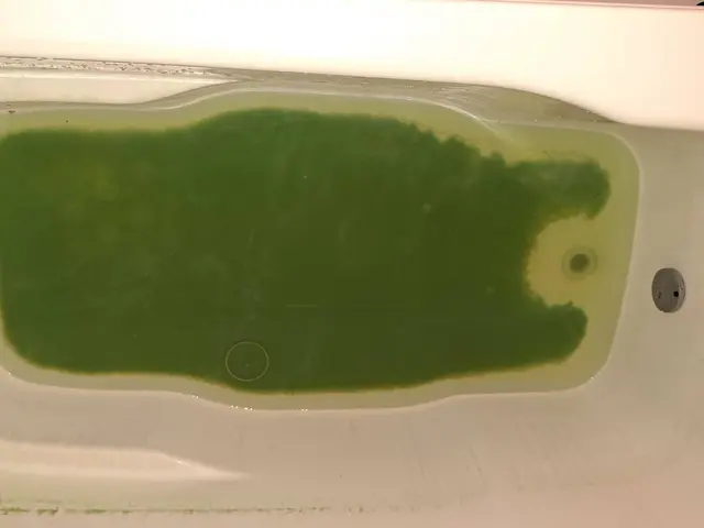 レジオネラ菌の殺菌や、追い炊き配管内の様々な汚れを洗浄いたします。サービスの画像