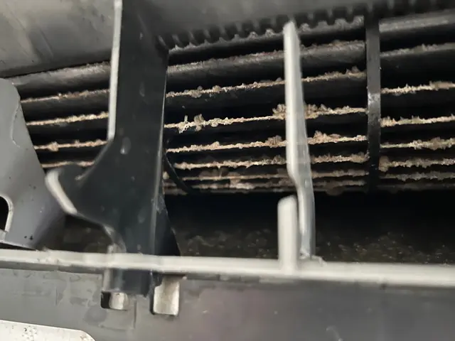 【女性スタッフ活躍中◎】安心の損害保険加入店！大手の業務経験も豊富です！サービスの画像