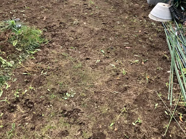 除草剤無料施行中★楽しく丁寧に作業いたします。お気軽にご連絡ください。サービスの画像