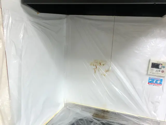 《損害保険加入済み◎》どんなに汚れていても追加料金無し！隅々まで丁寧に清掃しますサービスの画像