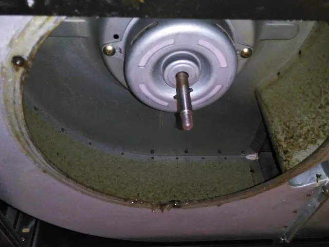 ＜ハウスクリーニング士在籍＞万が一の損害保険加入◎千葉県我孫子市発◎サービスの画像