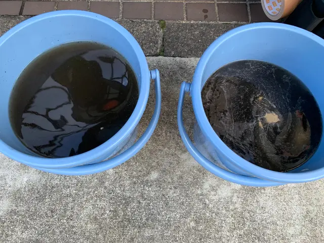 【千葉エリア】秋の還元セール中！《丁寧な作業》夏に溜まった汚れを一掃◎完全分解サービスの画像