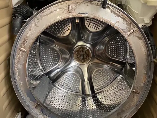 《関西》大手４大メーカー対応可！分解洗浄で安心・安全な洗濯機に！サービスの画像