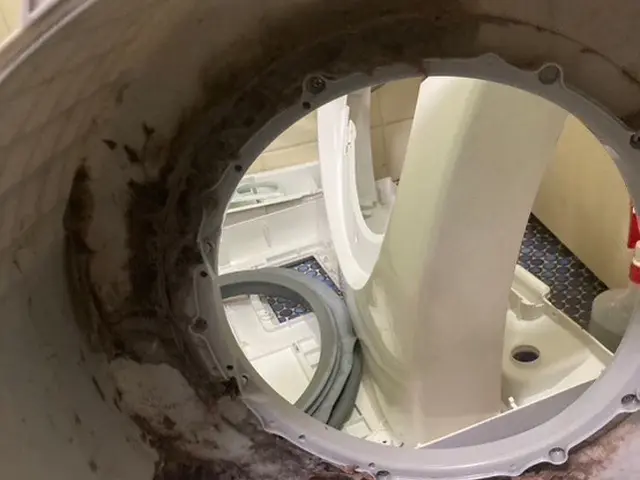 《関西》大手４大メーカー対応可！分解洗浄で安心・安全な洗濯機に！サービスの画像