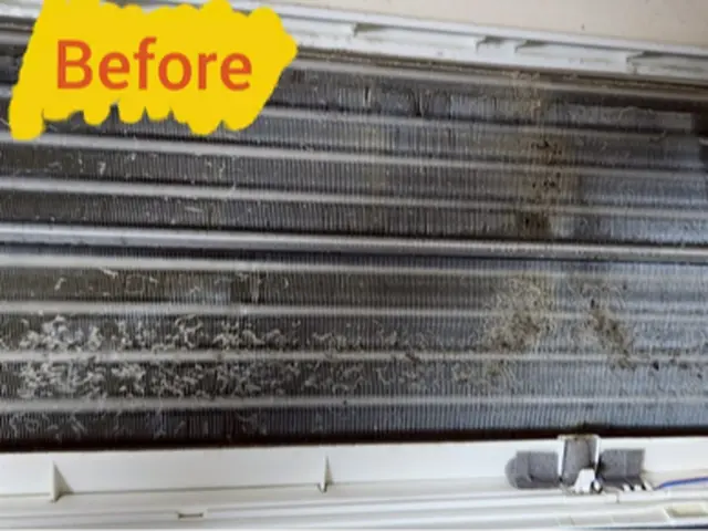 5年の実績！笑顔と丁寧さで感動をお届けする清掃のプロサービスの画像