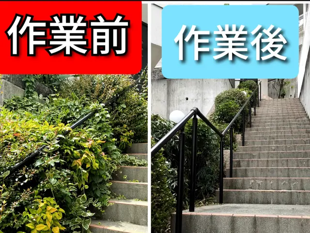 ★ご予約前に写真で簡単お見積もり★立ち合いなしOK♪★お庭スッキリ♪サービスの画像